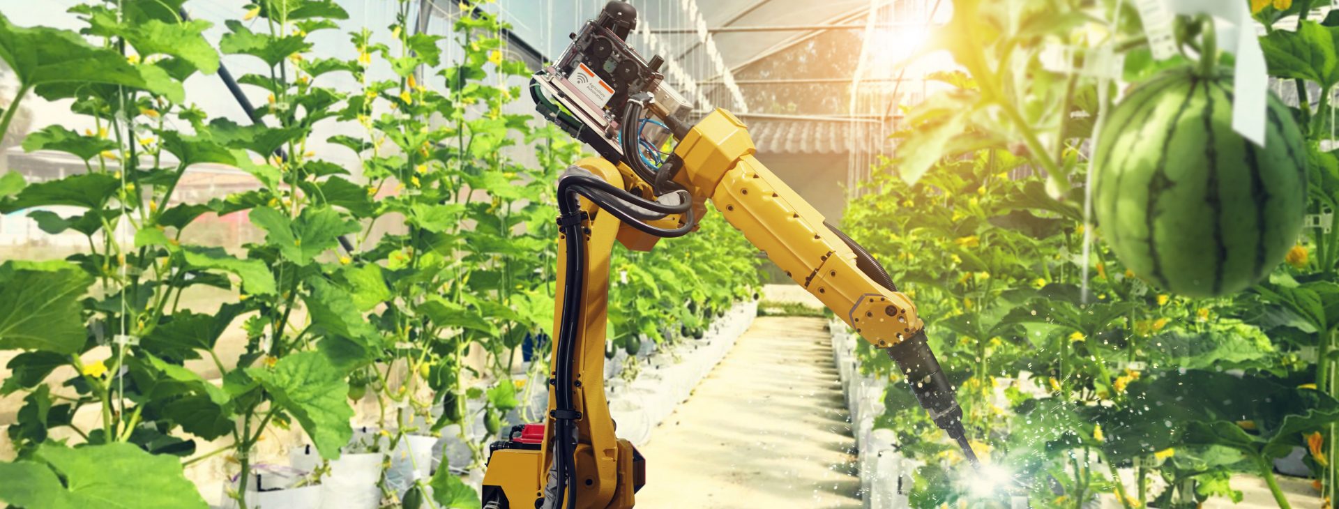 Ricerca e innovazione a servizio di Enti, Imprese, Istituzioni